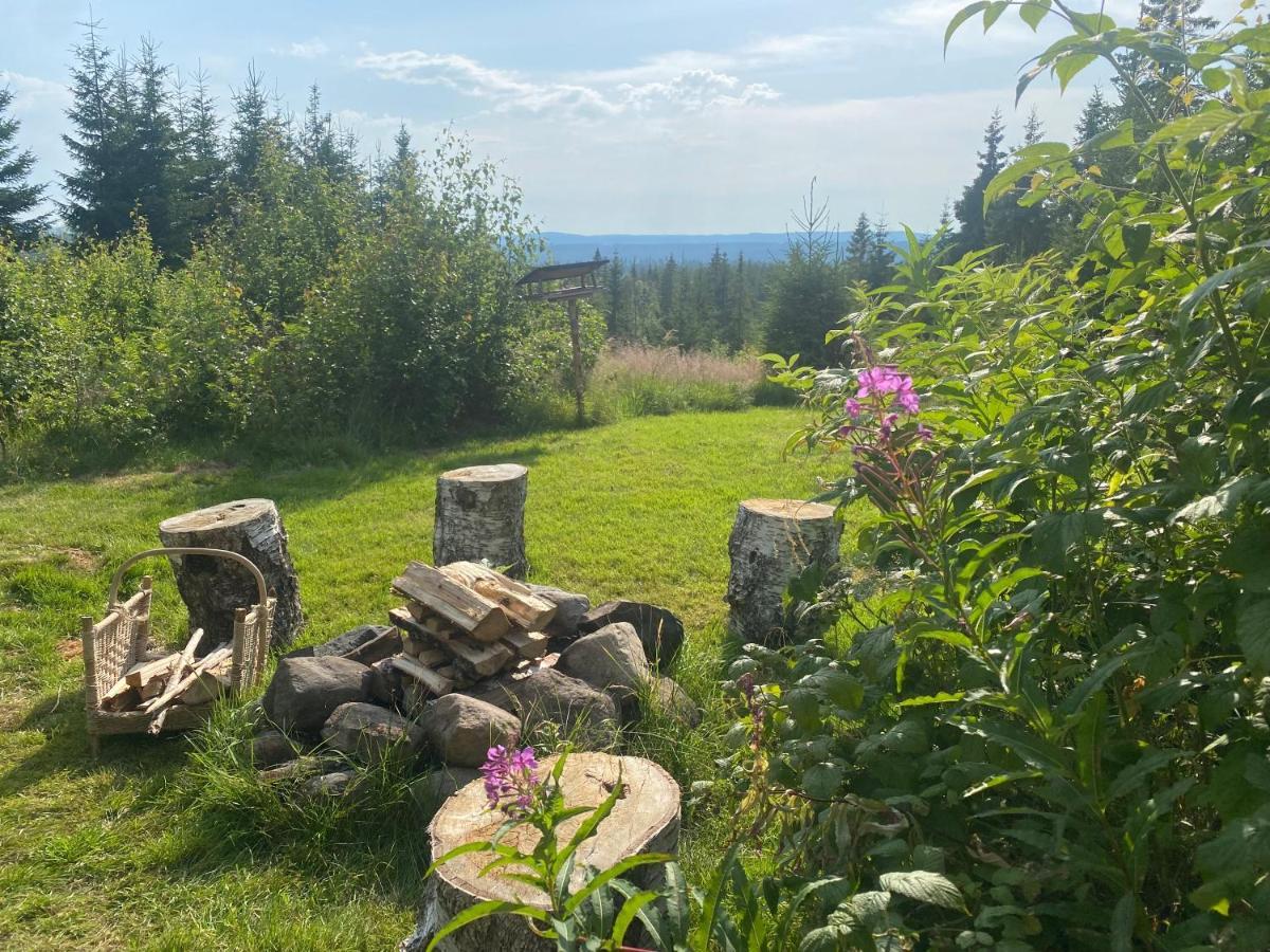 Cozy Forest Cabin With Amazing Mountain View Torsby Zewnętrze zdjęcie