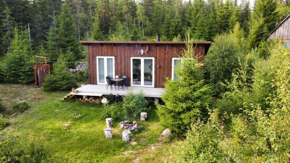 Cozy Forest Cabin With Amazing Mountain View Torsby Zewnętrze zdjęcie