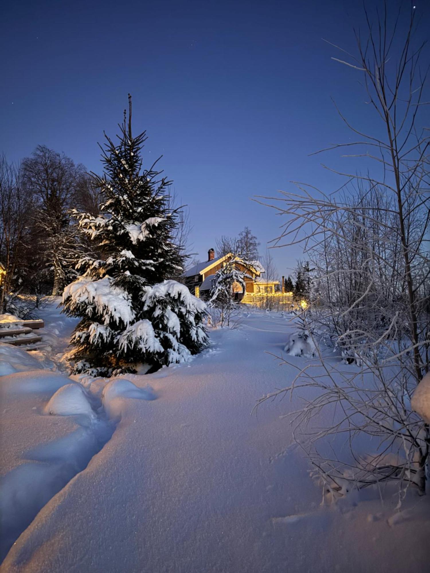 Cozy Forest Cabin With Amazing Mountain View Torsby Zewnętrze zdjęcie