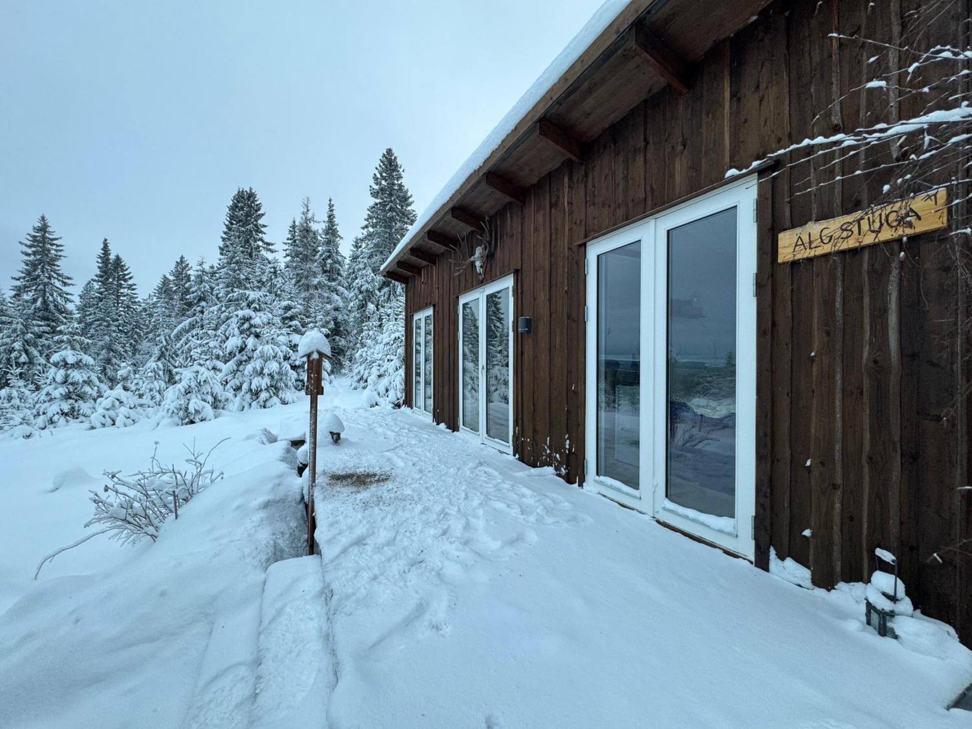 Cozy Forest Cabin With Amazing Mountain View Torsby Zewnętrze zdjęcie