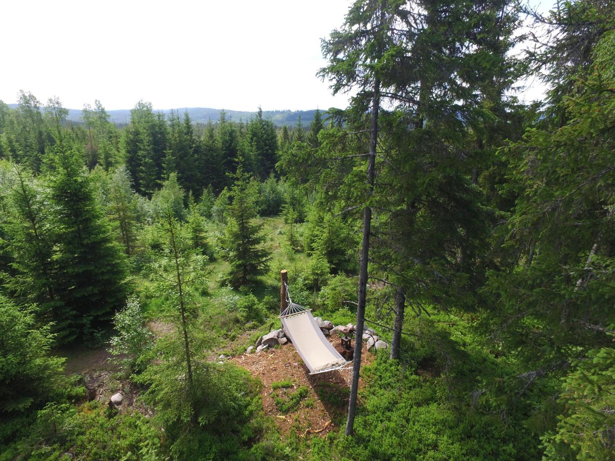 Cozy Forest Cabin With Amazing Mountain View Torsby Zewnętrze zdjęcie